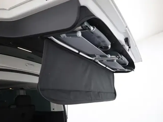 Volkswagen T6.1 California