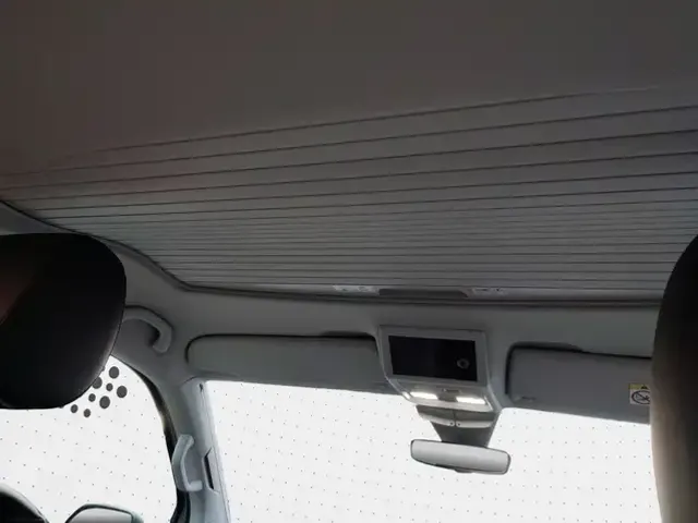 Volkswagen T6.1 California