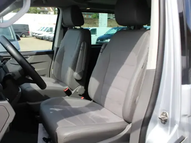 Volkswagen T6.1 California