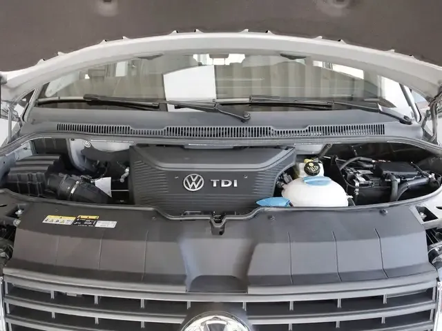 Volkswagen T6 California