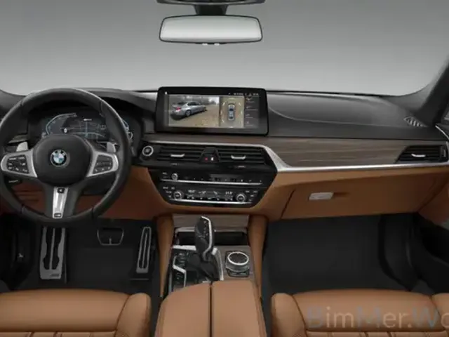 BMW 545