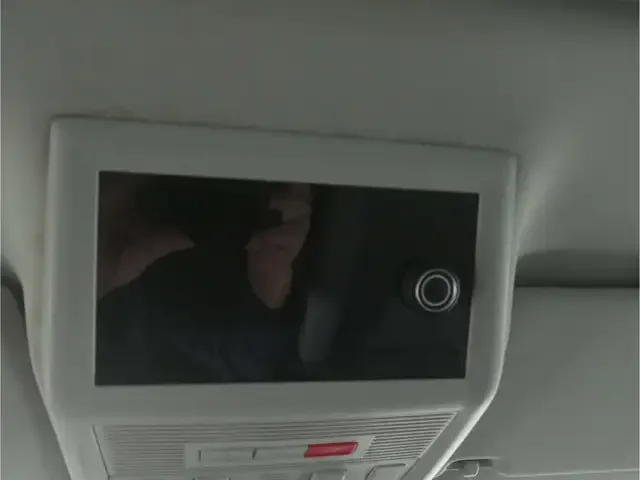 Volkswagen T6.1 California