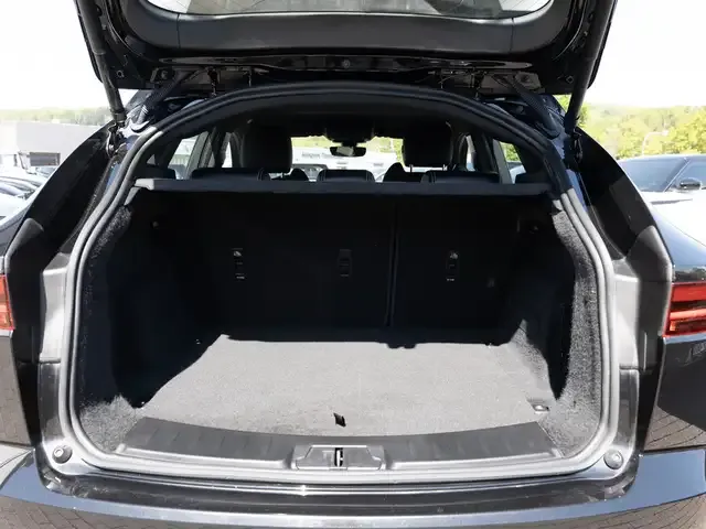 Jaguar Sonstiges