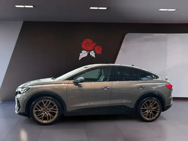 Audi Sonstiges