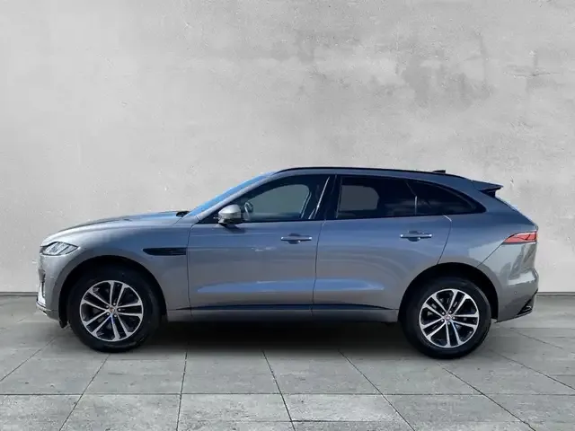Jaguar Sonstiges