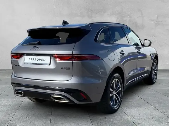 Jaguar Sonstiges