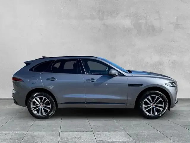 Jaguar Sonstiges