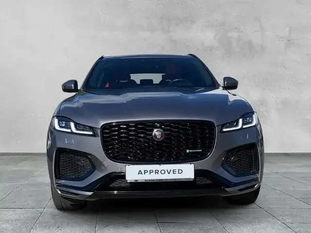 Jaguar Sonstiges