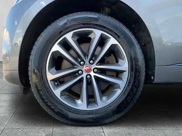 Jaguar Sonstiges