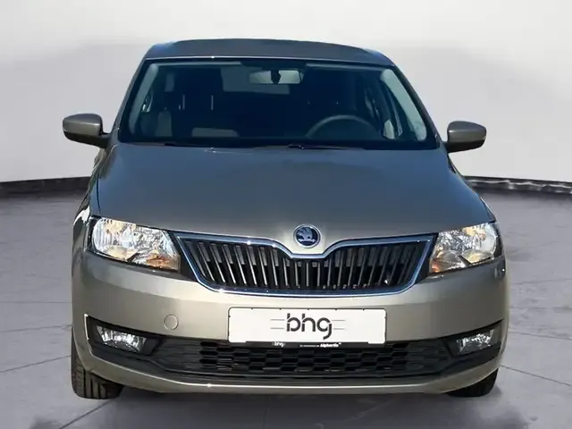 Skoda Sonstiges