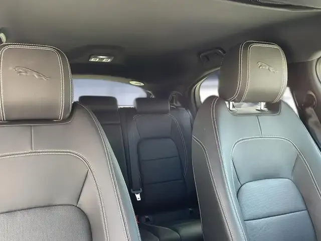 Jaguar Sonstiges