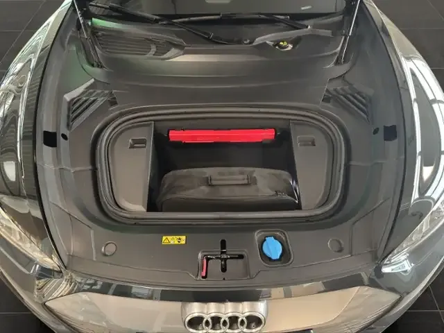 Audi RS e-tron GT