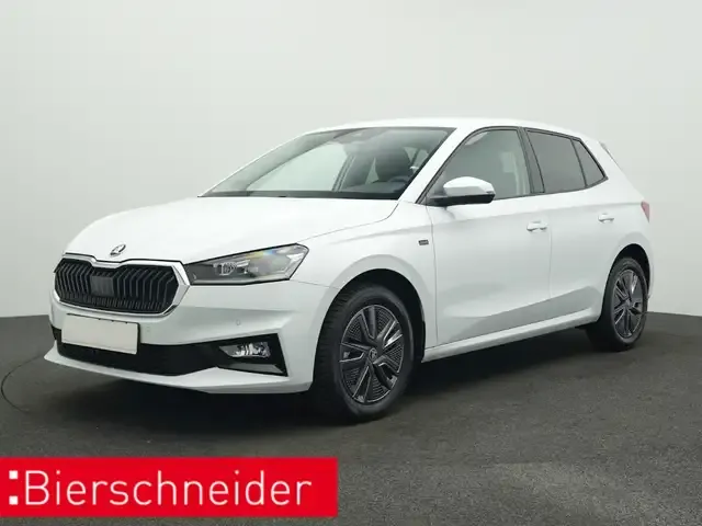 Skoda Sonstige