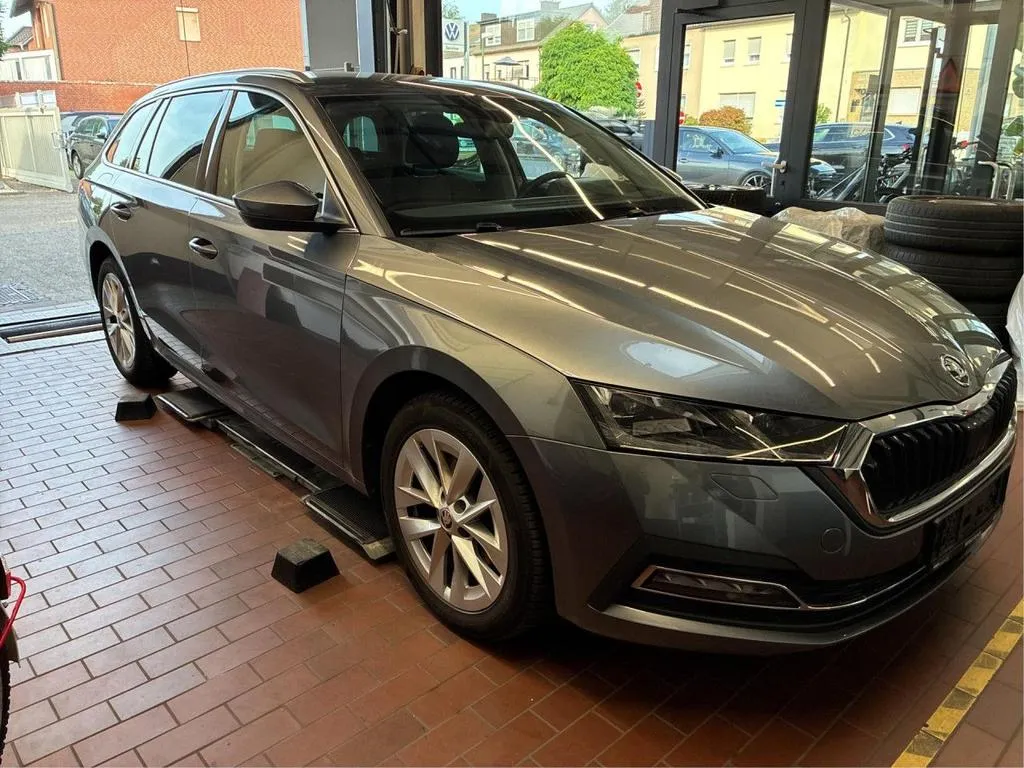 Skoda Autres