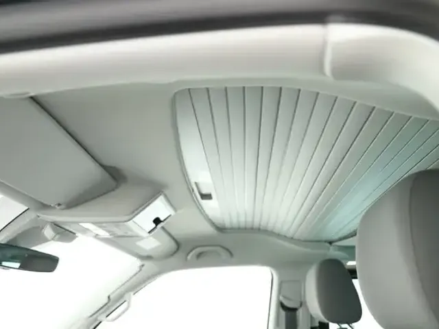 Volkswagen T6.1 California