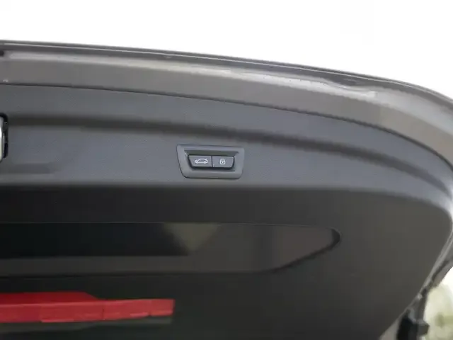 BMW 223