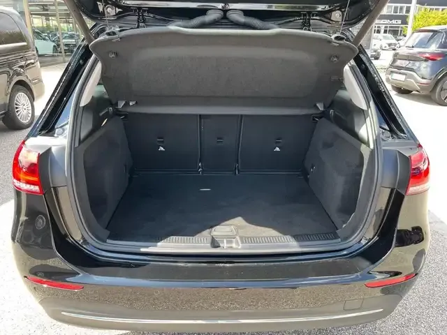 Mercedes-Benz B 250