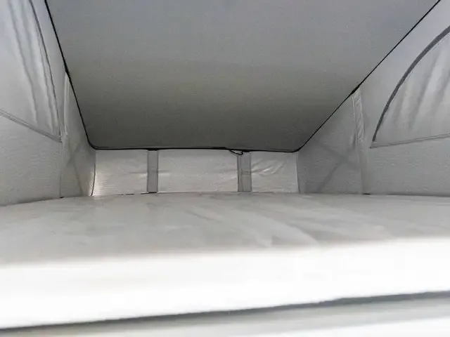 Volkswagen T6.1 California