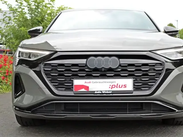 Audi Q8 e-tron