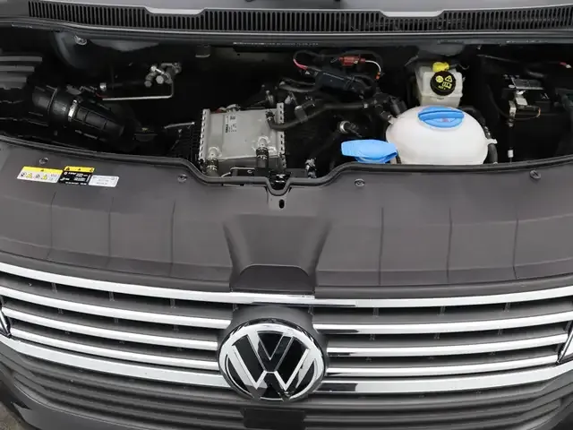 Volkswagen T6.1 Multivan