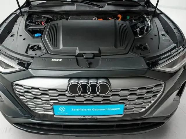 Audi Q8 e-tron