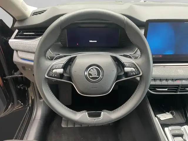 Skoda Sonstiges