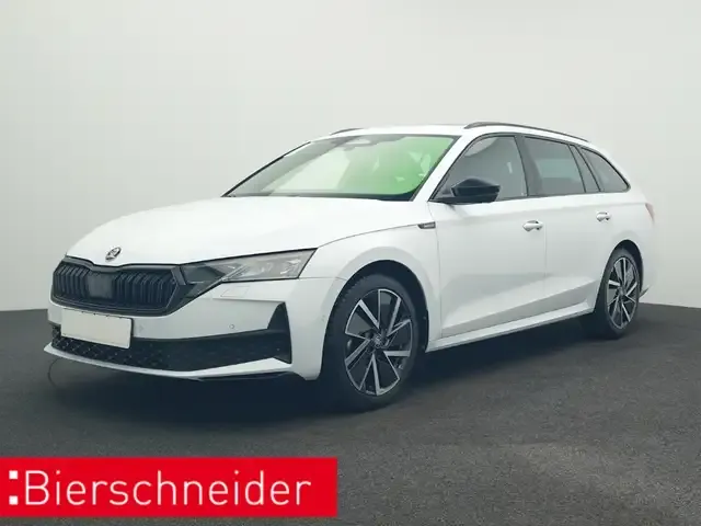 Skoda Sonstige