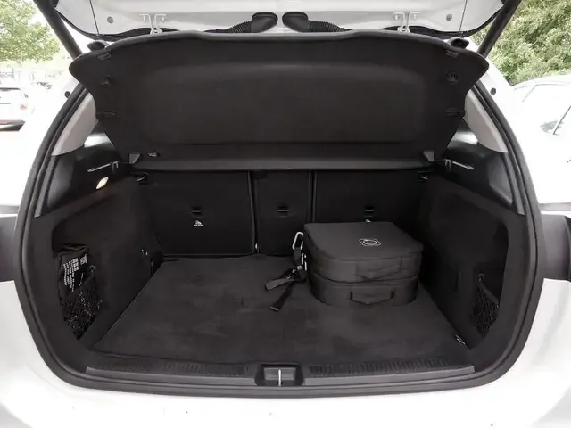 Mercedes-Benz B 250