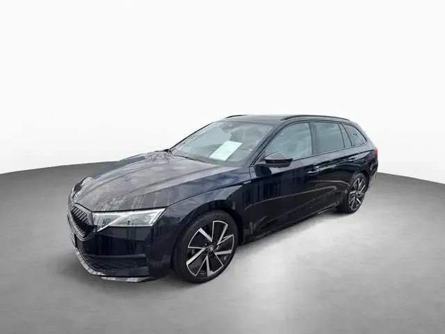 Skoda Sonstige