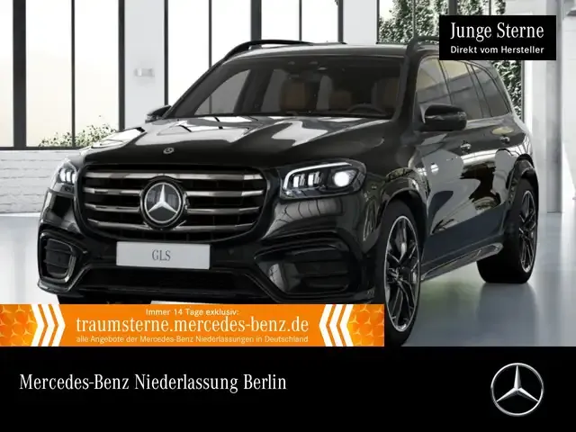 Mercedes-Benz Sonstige