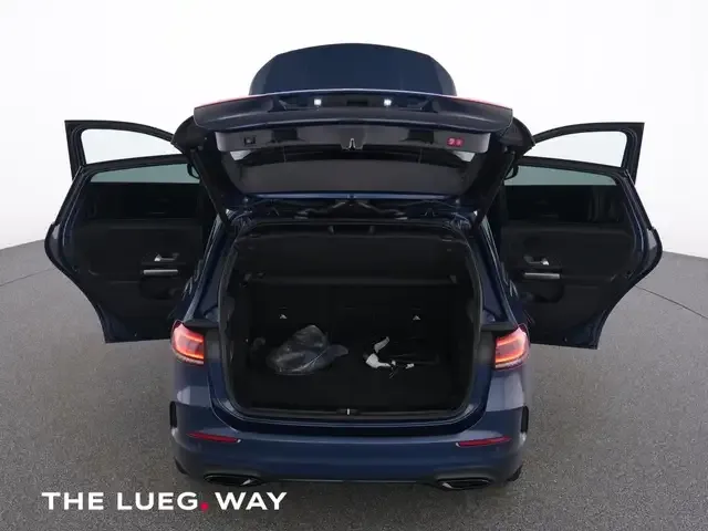 Mercedes-Benz B 250