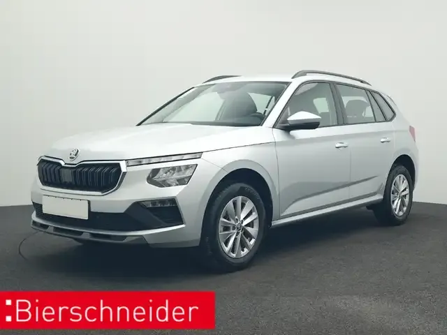 Skoda Sonstige
