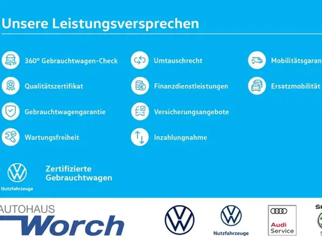 Volkswagen ID. Buzz Cargo