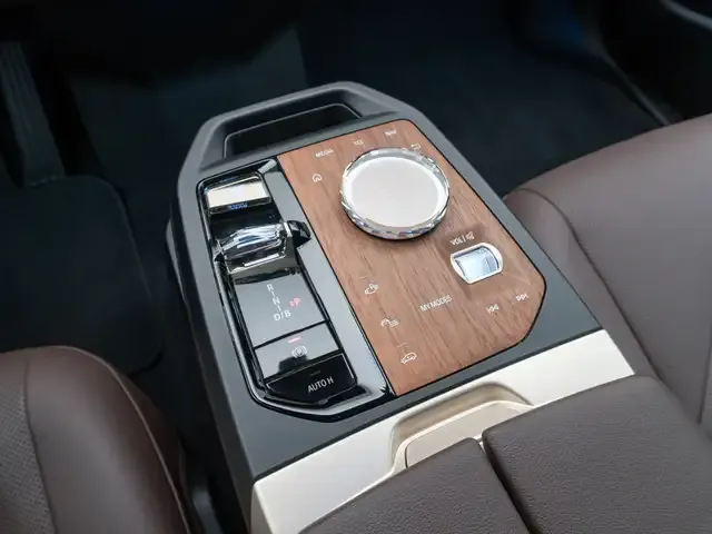BMW iX