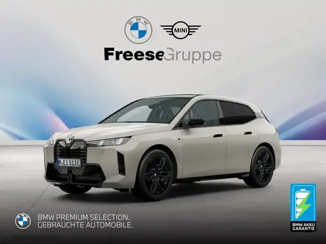 BMW iX