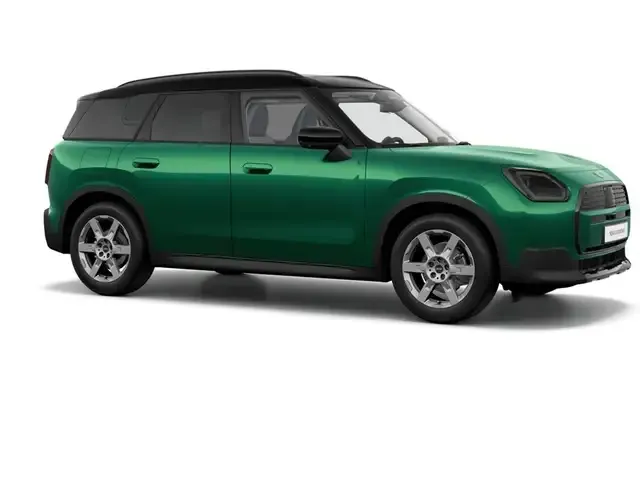 MINI 1000