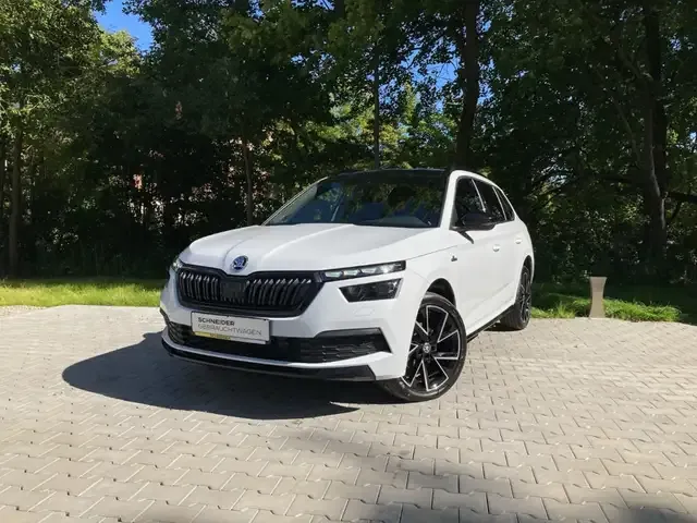 Skoda Sonstiges