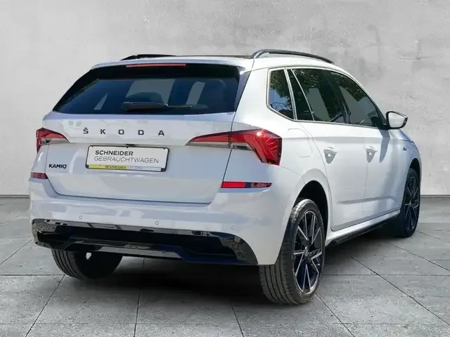 Skoda Sonstiges