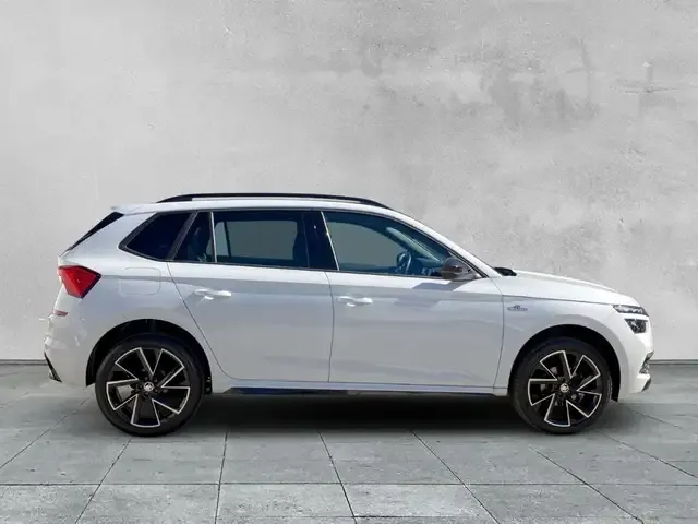 Skoda Sonstiges
