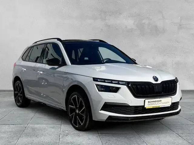 Skoda Sonstiges