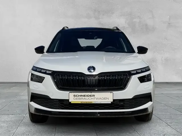 Skoda Sonstiges