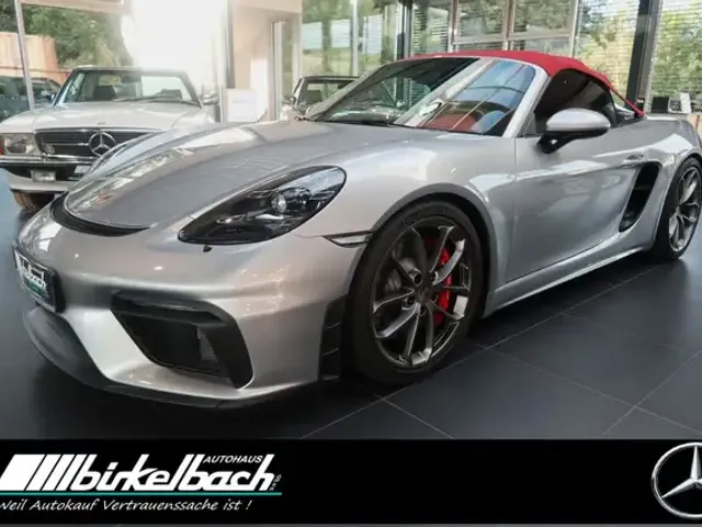 Porsche Sonstige