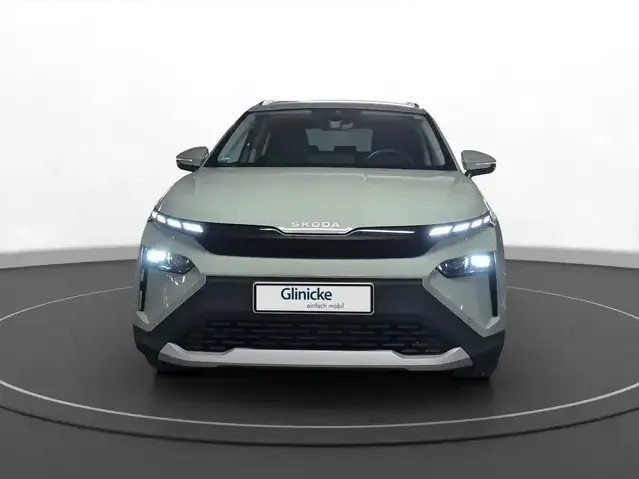 Skoda Sonstiges
