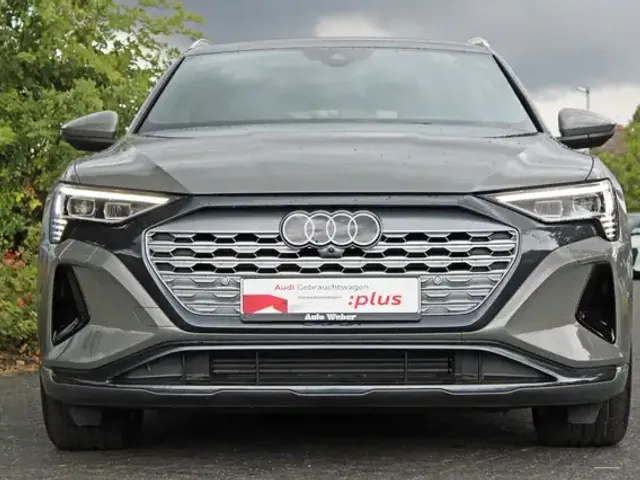 Audi Q8 e-tron