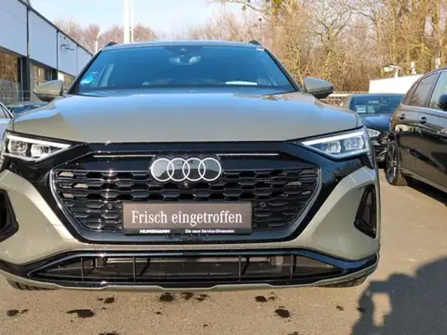 Audi Q8 e-tron