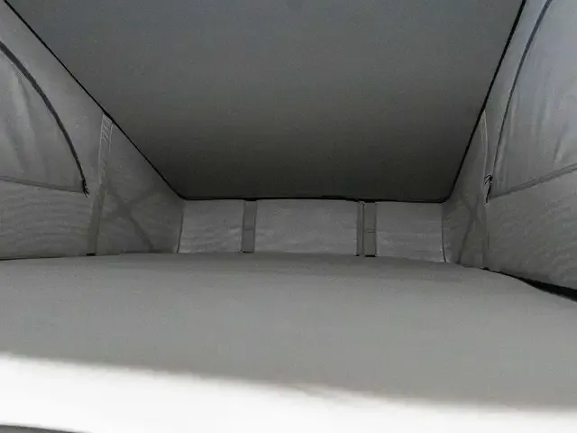 Volkswagen T6.1 California