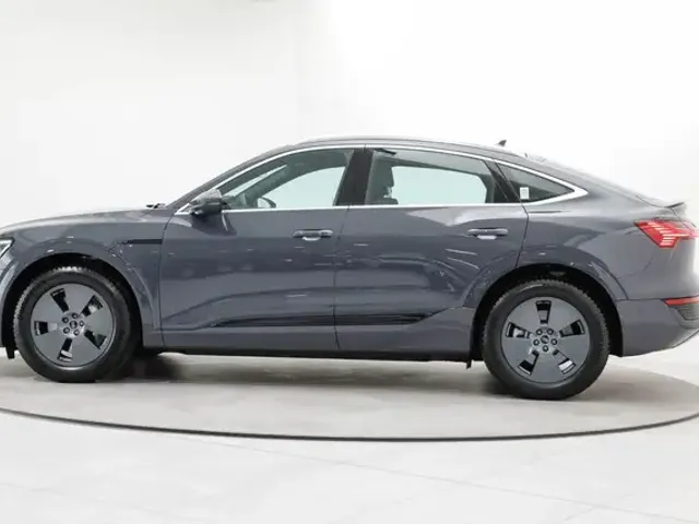 Audi Q8 e-tron