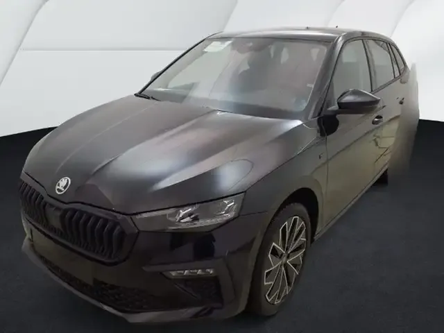 Skoda Sonstige