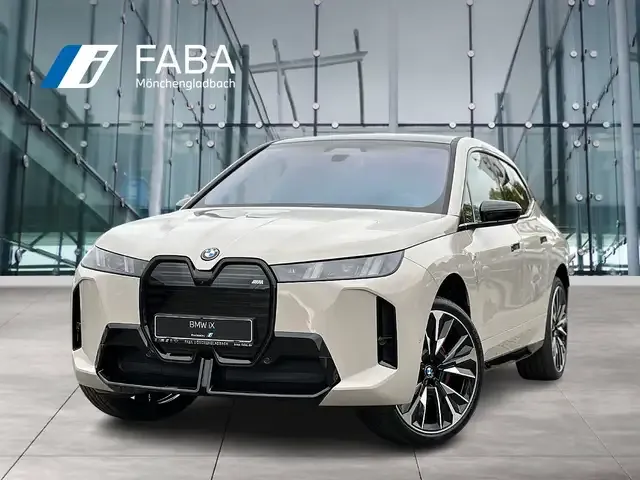 BMW iX