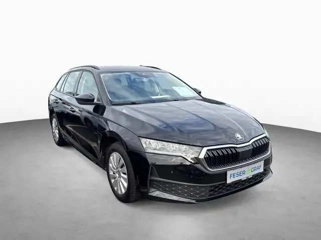 Skoda Sonstige